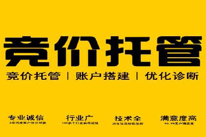 企业SEM服务实战案例解析